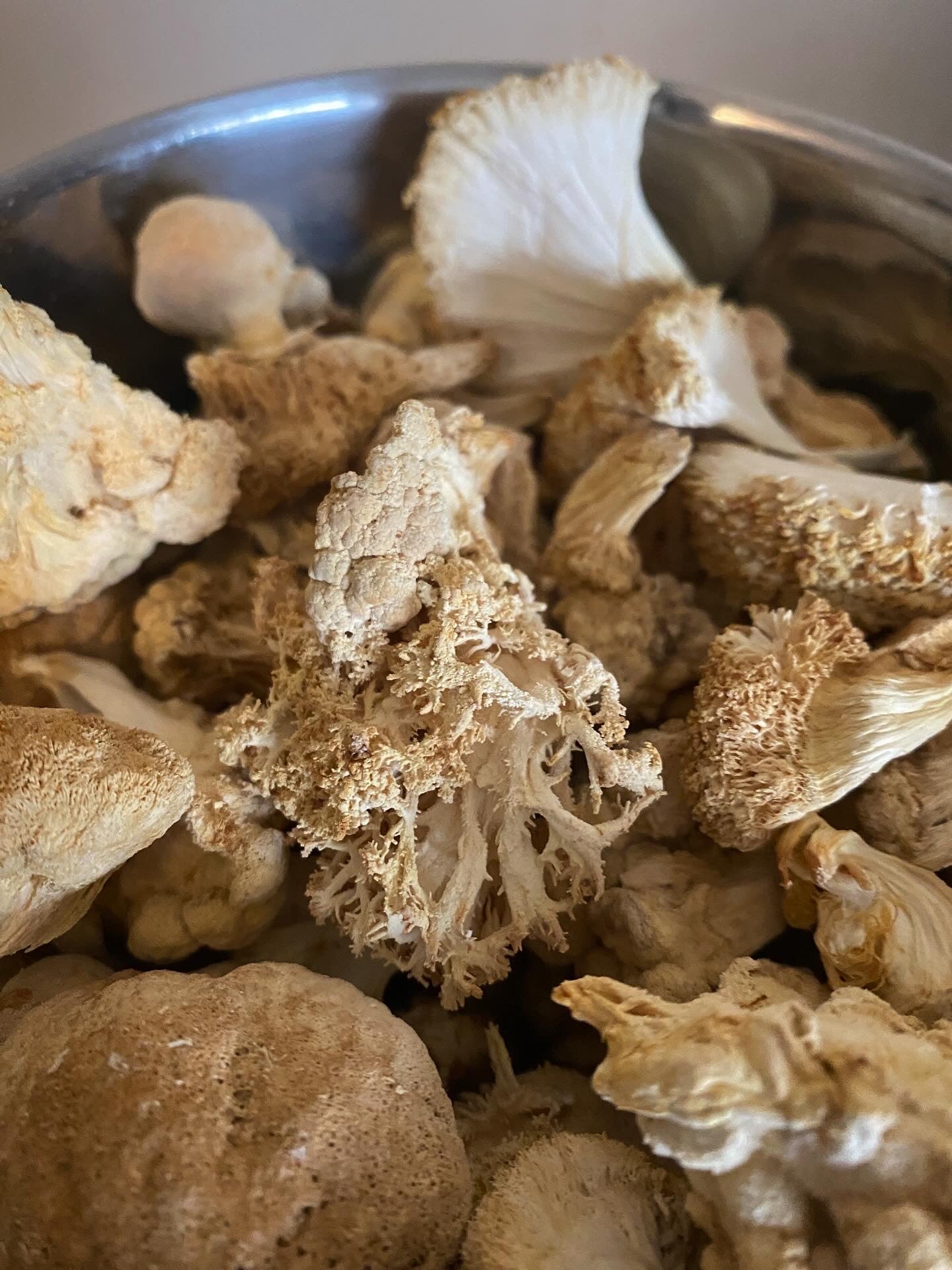 Lions Mane - Supercharged