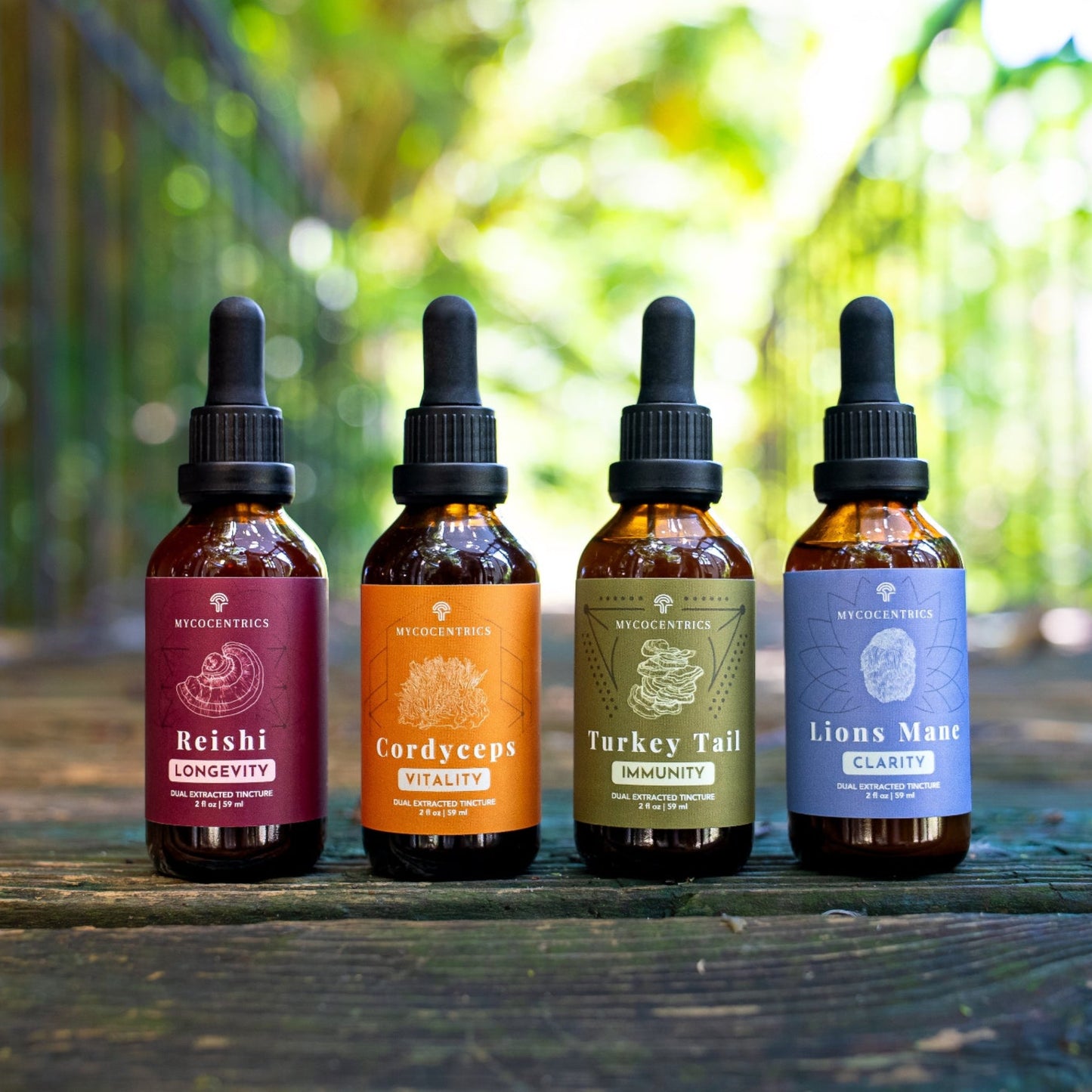 Four Extracts Mushroom Bundle