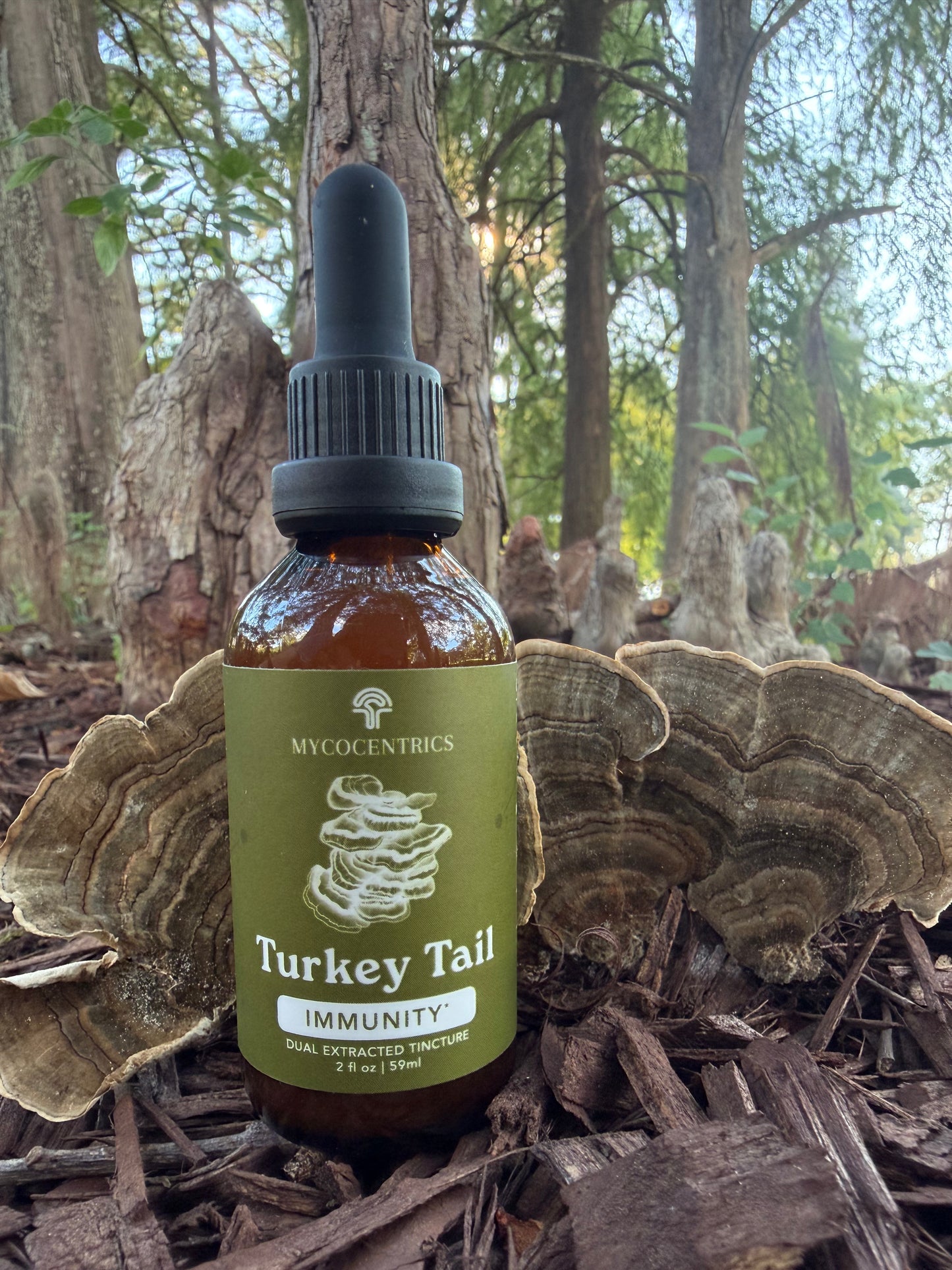 Turkey Tail Mushroom Tincture (Dual Extract)