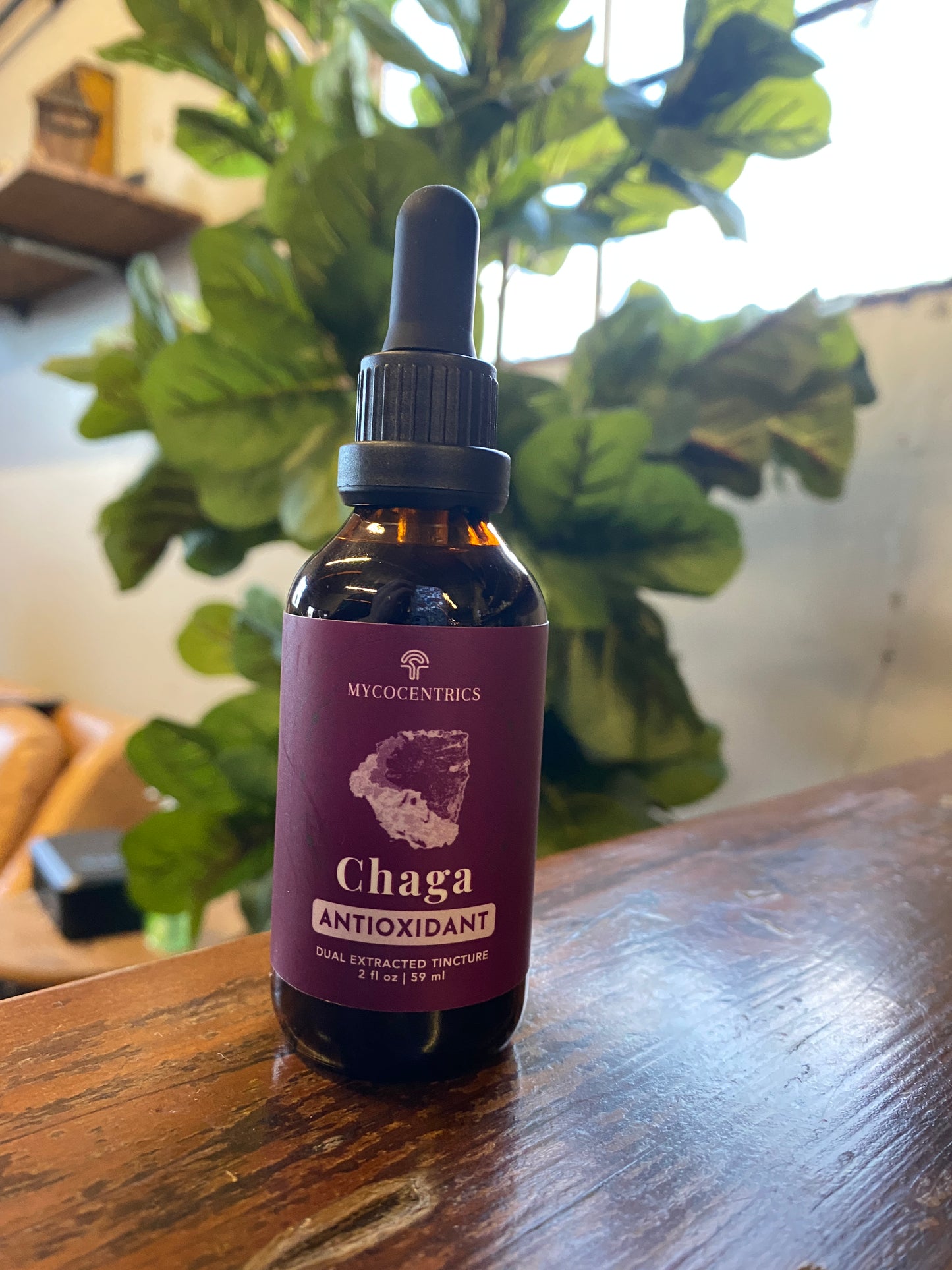Chaga Liquid Extract