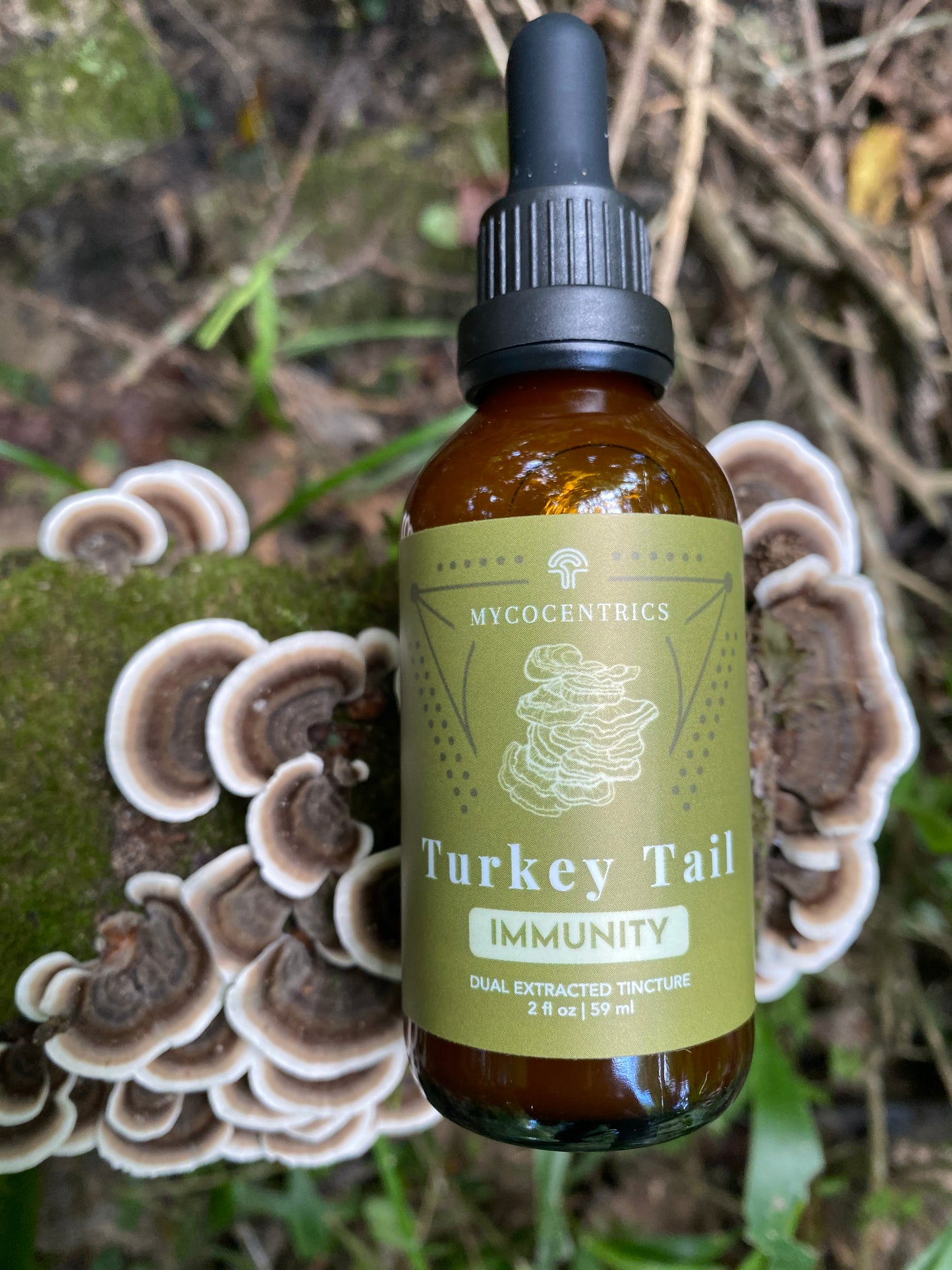 Turkey Tail Liquid Extract