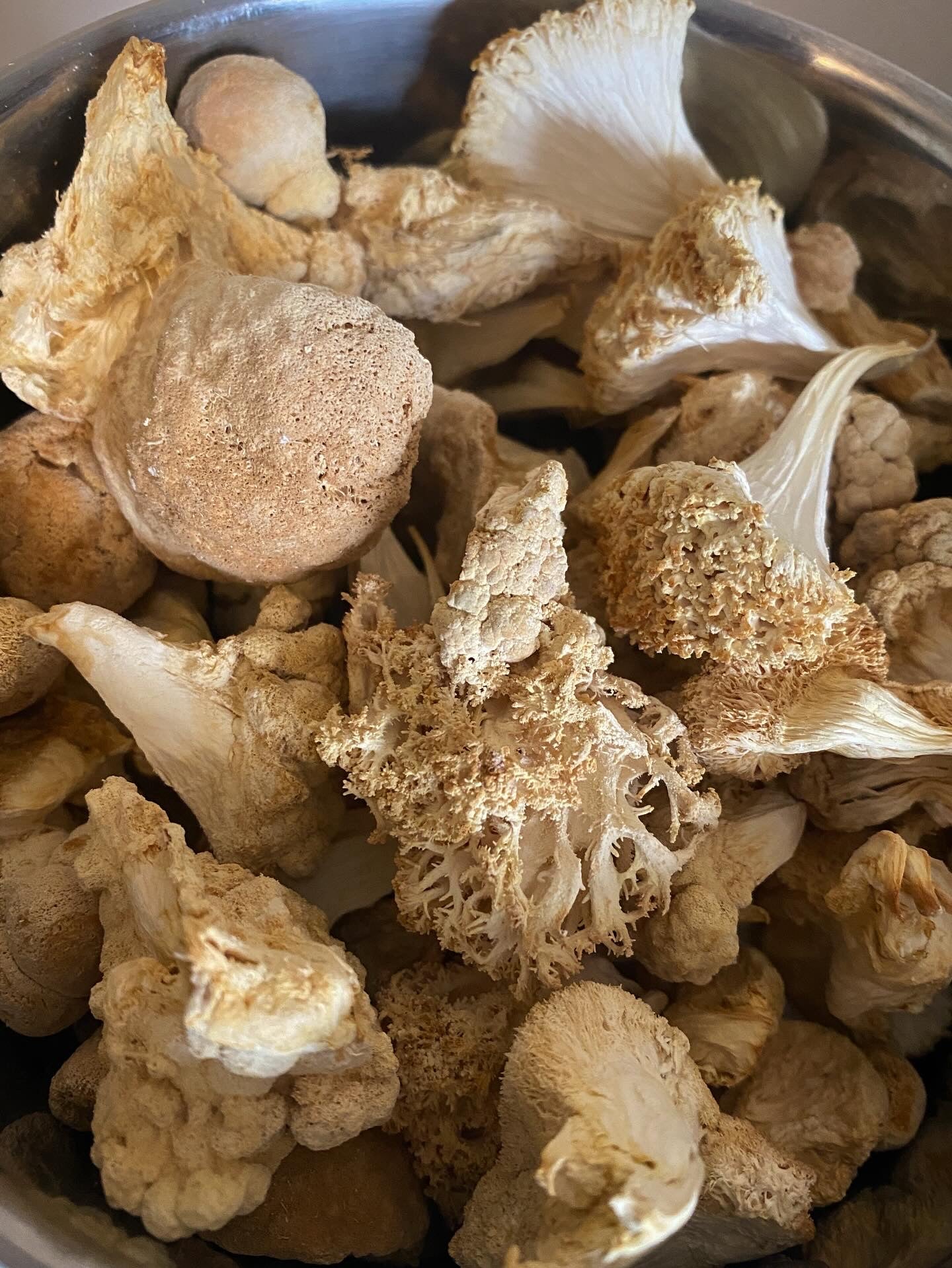 Lions Mane - Supercharged