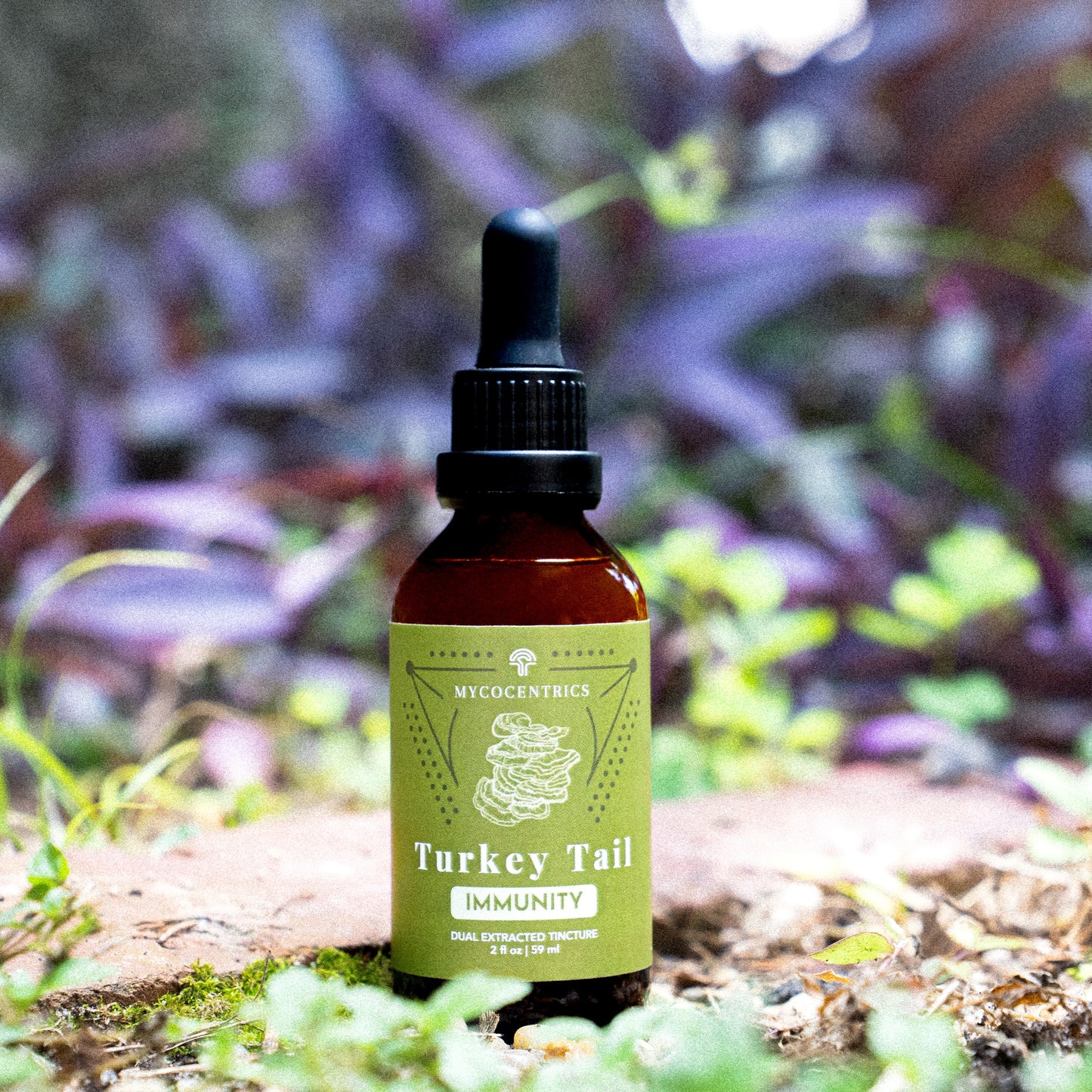 Turkey Tail Liquid Extract