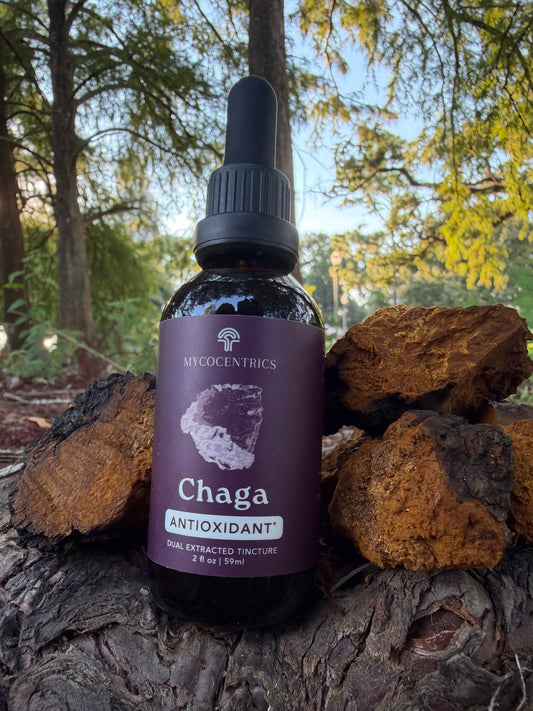 Chaga Mushroom Tincture (Dual Extract)