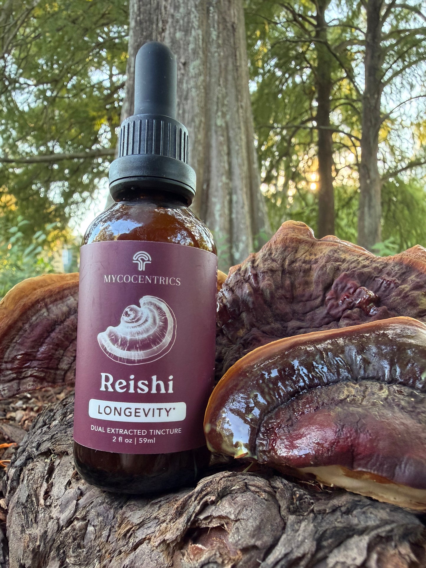 Reishi Mushroom Tincture (Dual Extract)