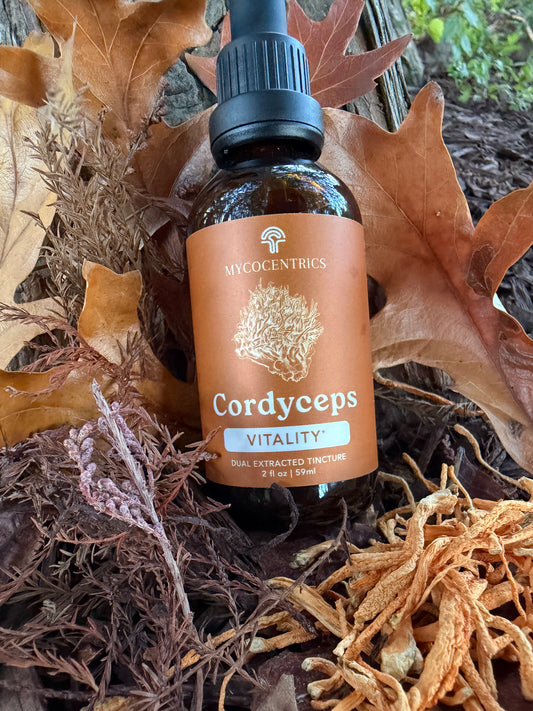 Cordyceps Mushroom Tincture (Dual Extract)