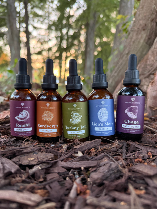 Five Tincture Mushroom Bundle