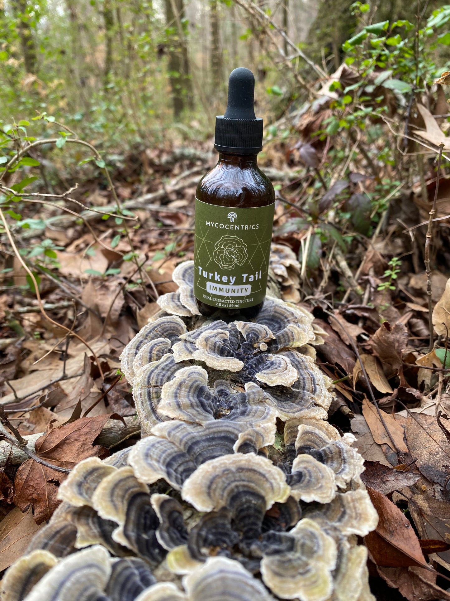 Turkey Tail Liquid Extract