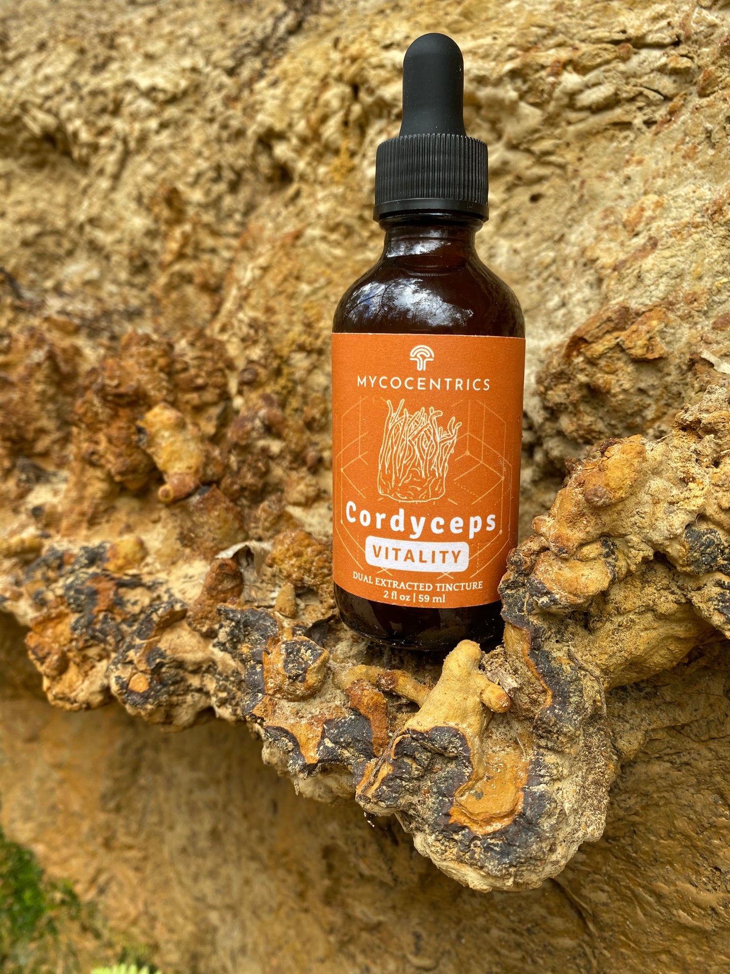 Cordyceps Liquid Extract