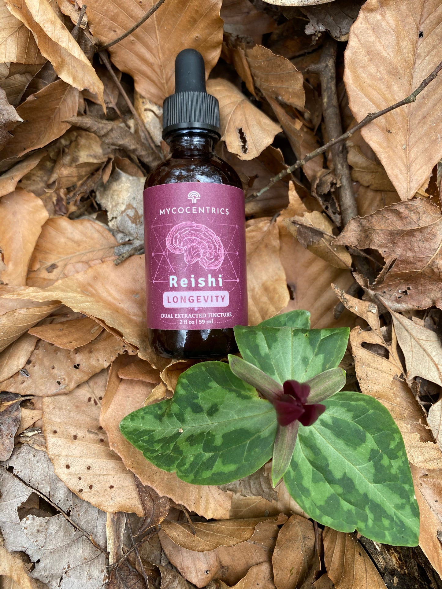 Reishi Liquid Extract